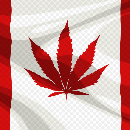 Canada weed flag in pop art style