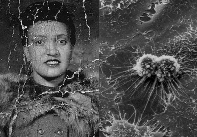 Henrietta Lacks, woman whose cancer cells are the source of the HeLa cell