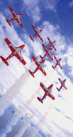 Snowbirds, пилотажная группа Королевских ВВС 431 Воздушной демонстрационной эскадрильи