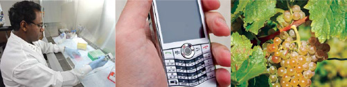 Научная лаборатория. Телефон BlackBerry. Ледяное вино, Ниагара