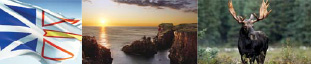 Newfoundland and Labrador Ньюфаундленд и Лабрадор (Newfoundland and Labrador)