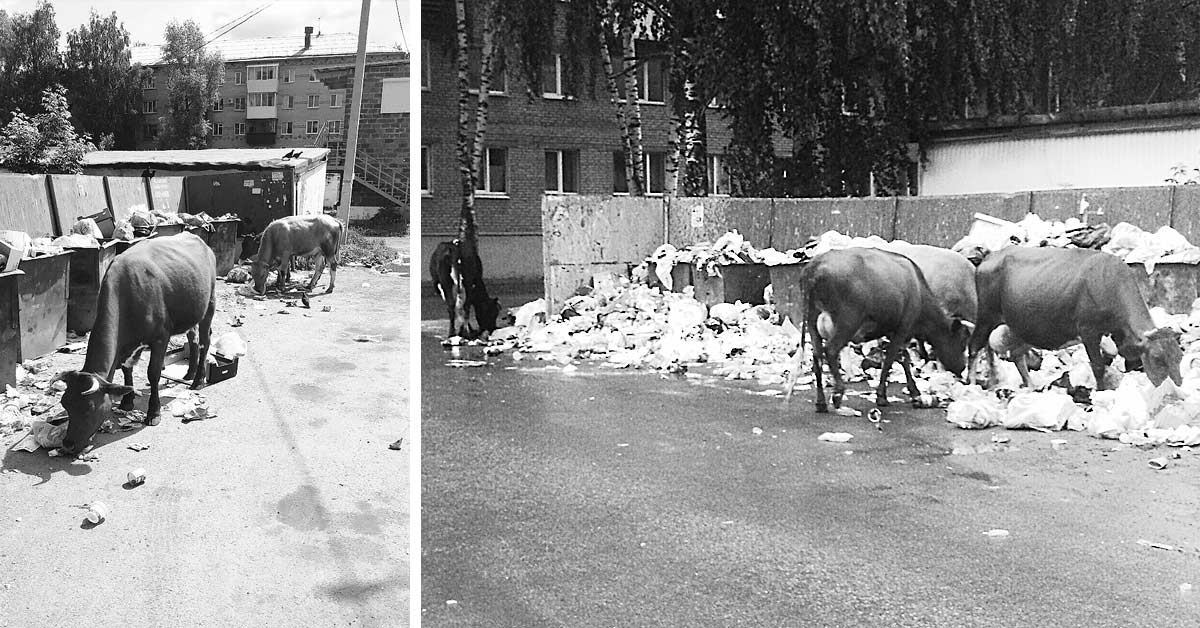 Аша Челябинской обл. 2019